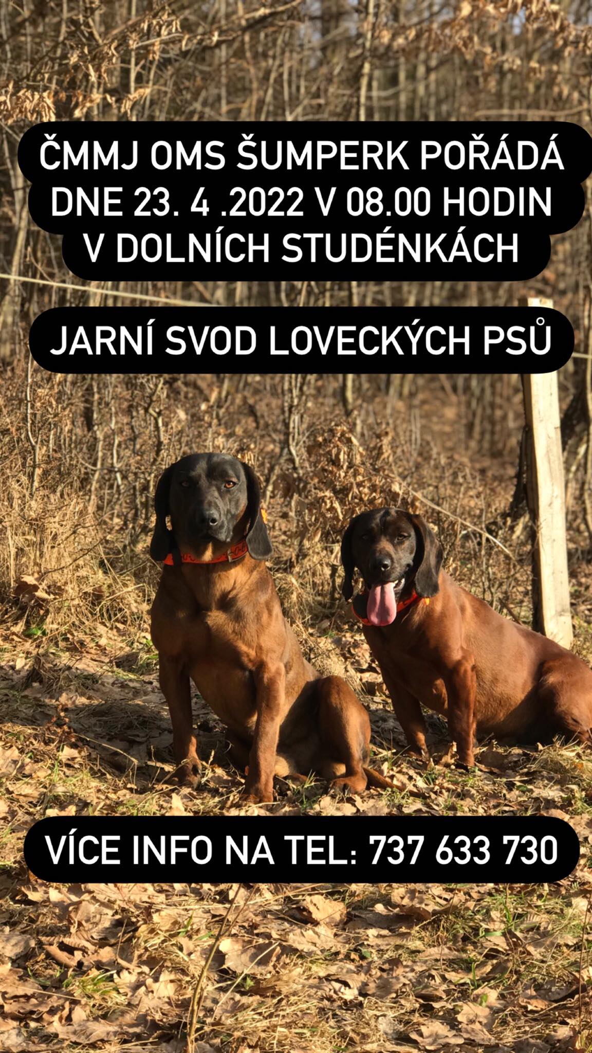 ČMMJ OMS Šumperk pořádá dne 23.4.2020 Jarní svod loveckých plemen