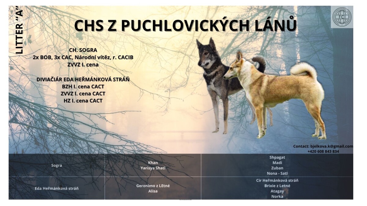 CHS Z PUCHLOVICKCÝH LÁNŮ