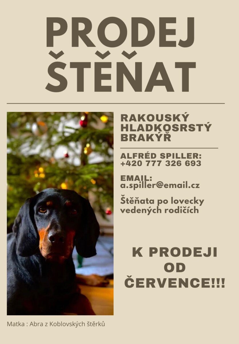 Prodej štěňat