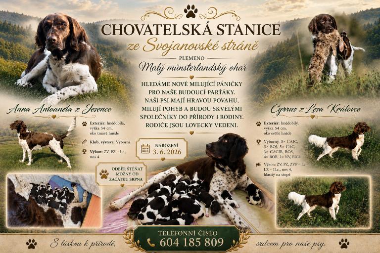 CHOVATELSKÁ STANICE ZE SVOJANOVSKÉ STRÁNĚ NABÍZÍ:
